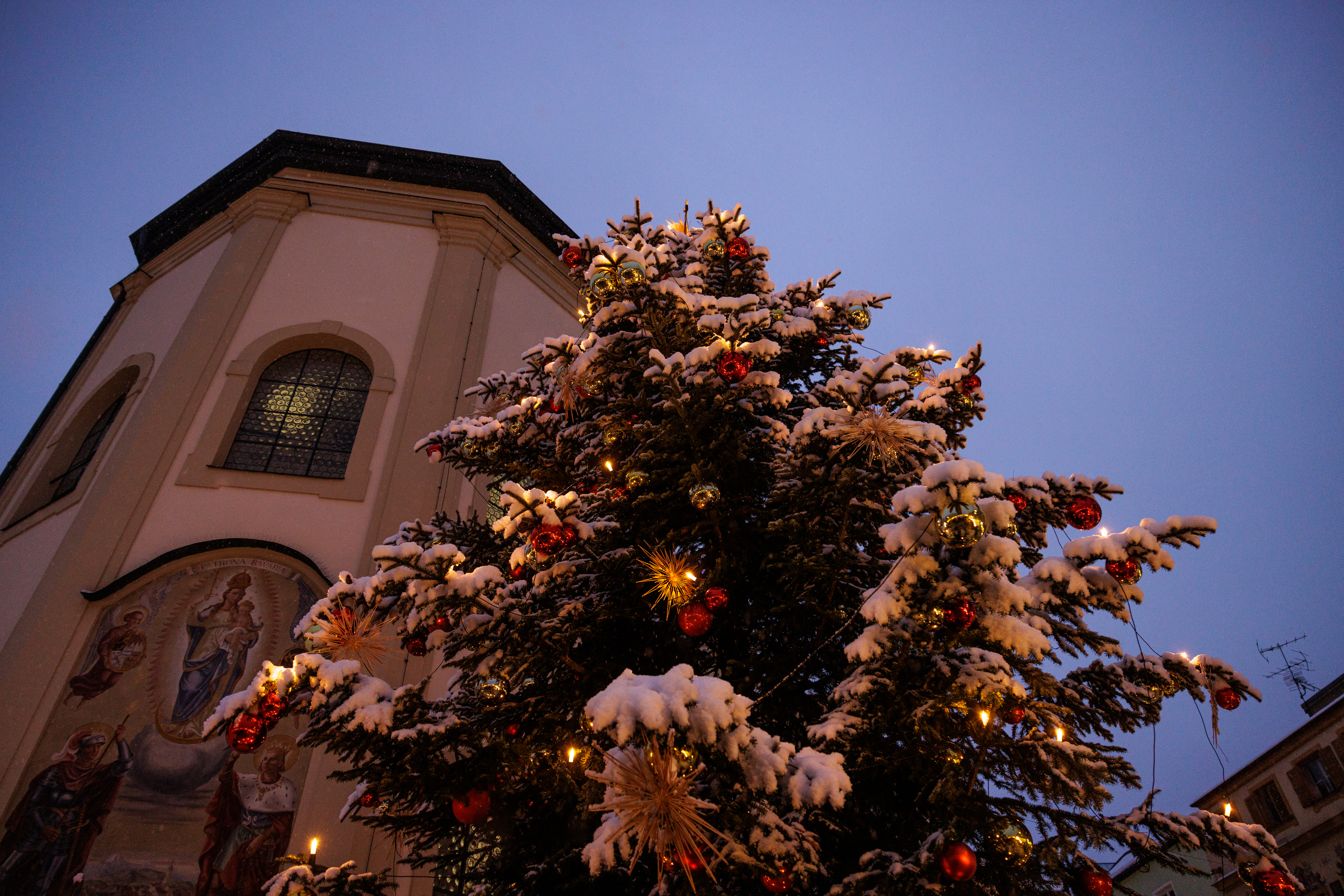 Christbaum © Richard Scheuerecker